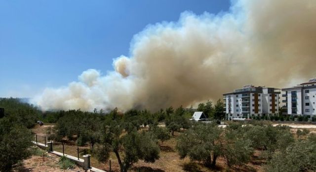 Osmaniye’de devlet hastanesi yanında korkutan yangın