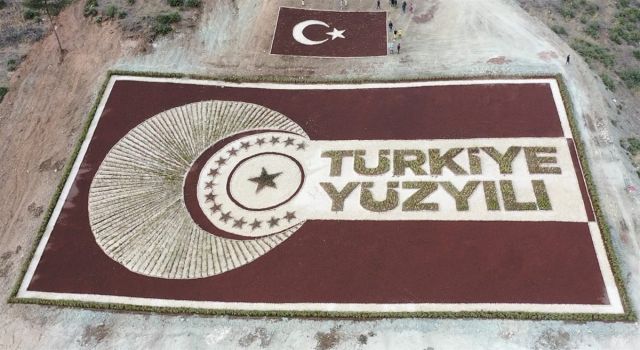 Osmaniye'de 28 bin fidanla "Türkiye Yüzyılı" logosu yapıldı