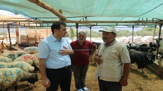 Osmaniye İl Tarım ve Orman Müdürü Recep Bulut kurban pazarını ziyaret etti