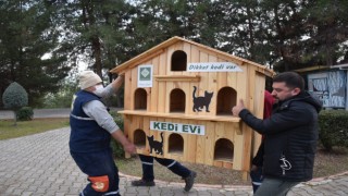 Osmaniye Belediyesi kedi evleri yerleştirmeye devam ediyor