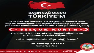 Osmaniye Valisi Erdinç Yılmaz, "Başın sağ olsun Türkiye'm"